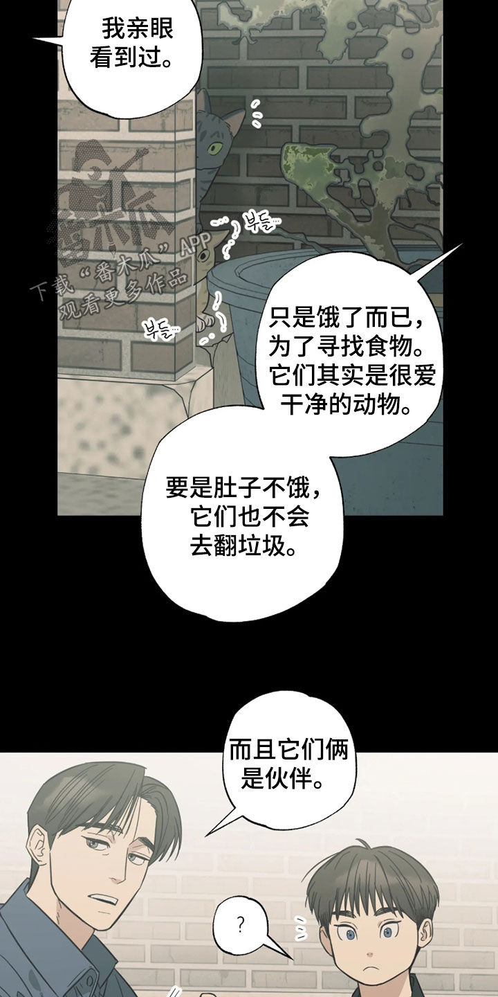 第55话9