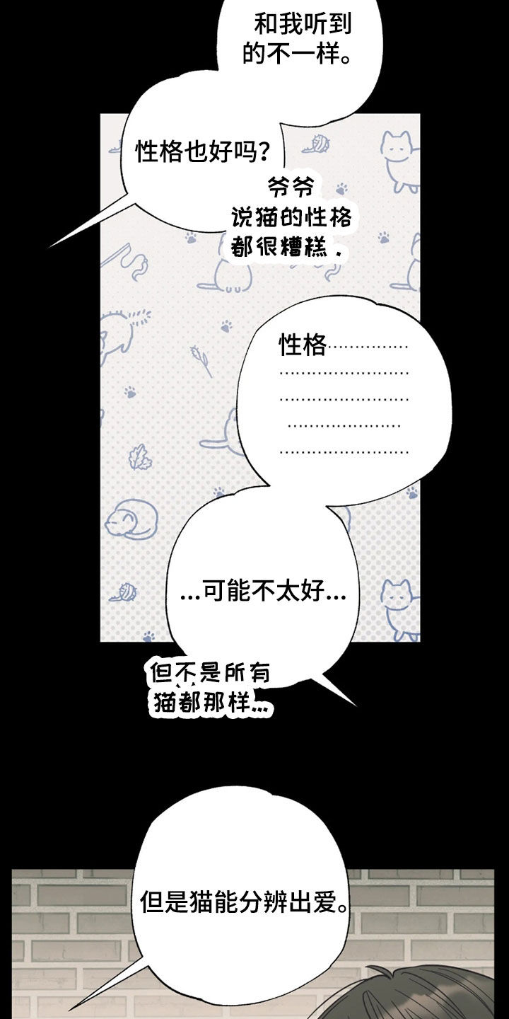 第55话11
