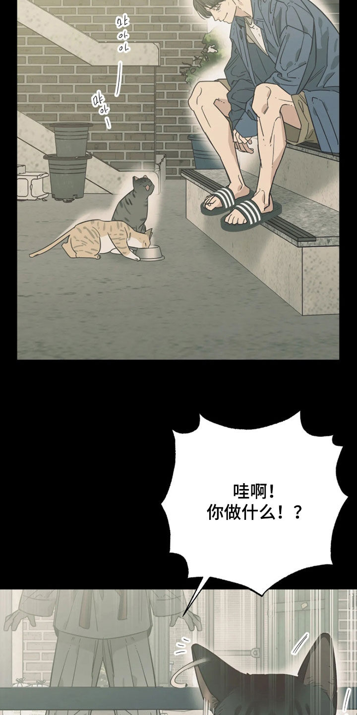 第55话5