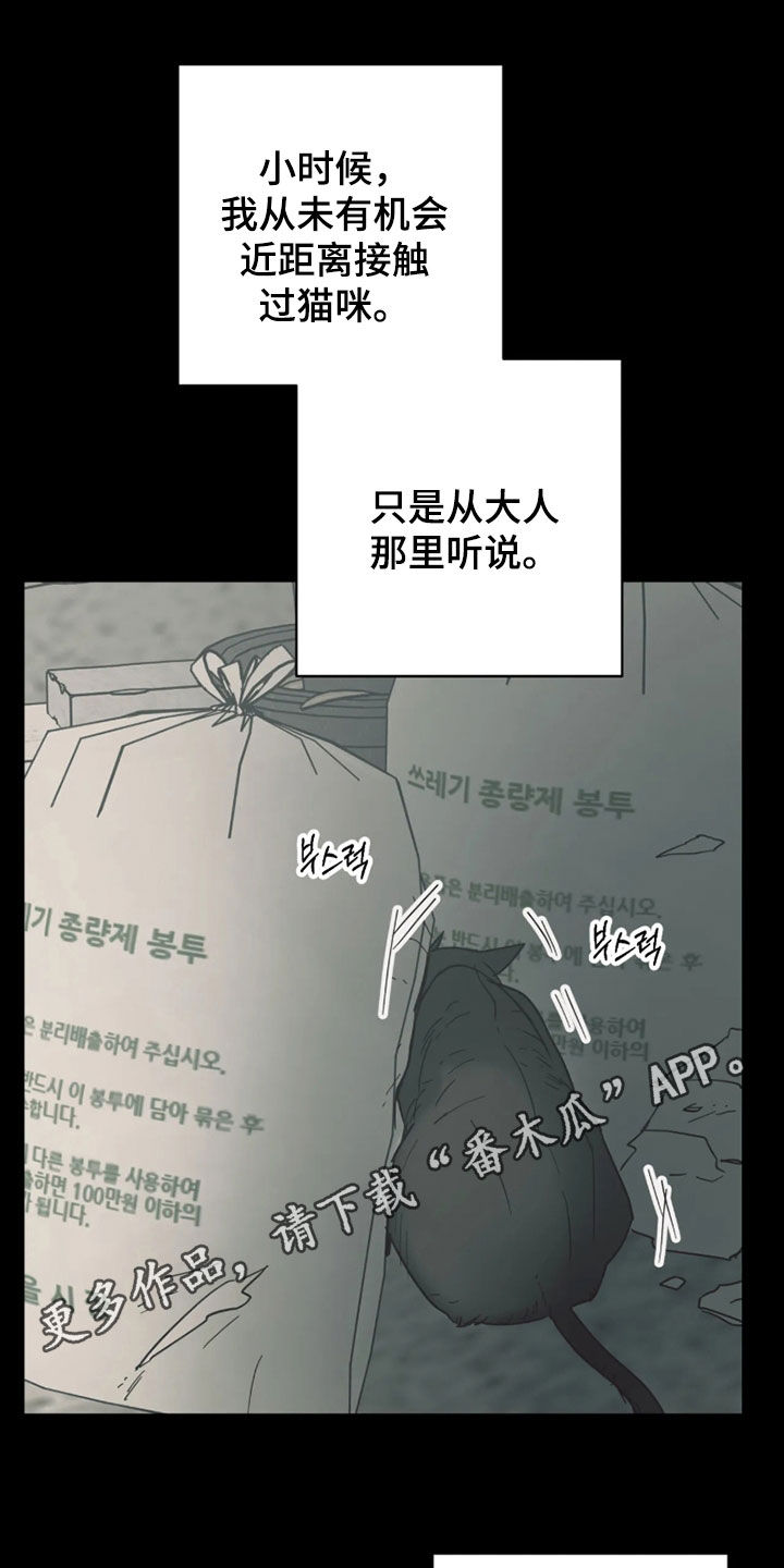 第55话0
