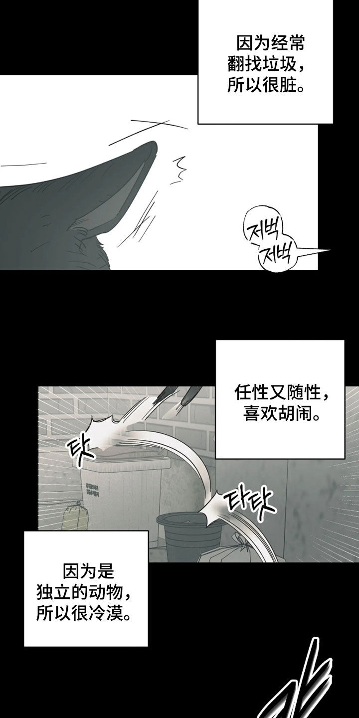 第55话1