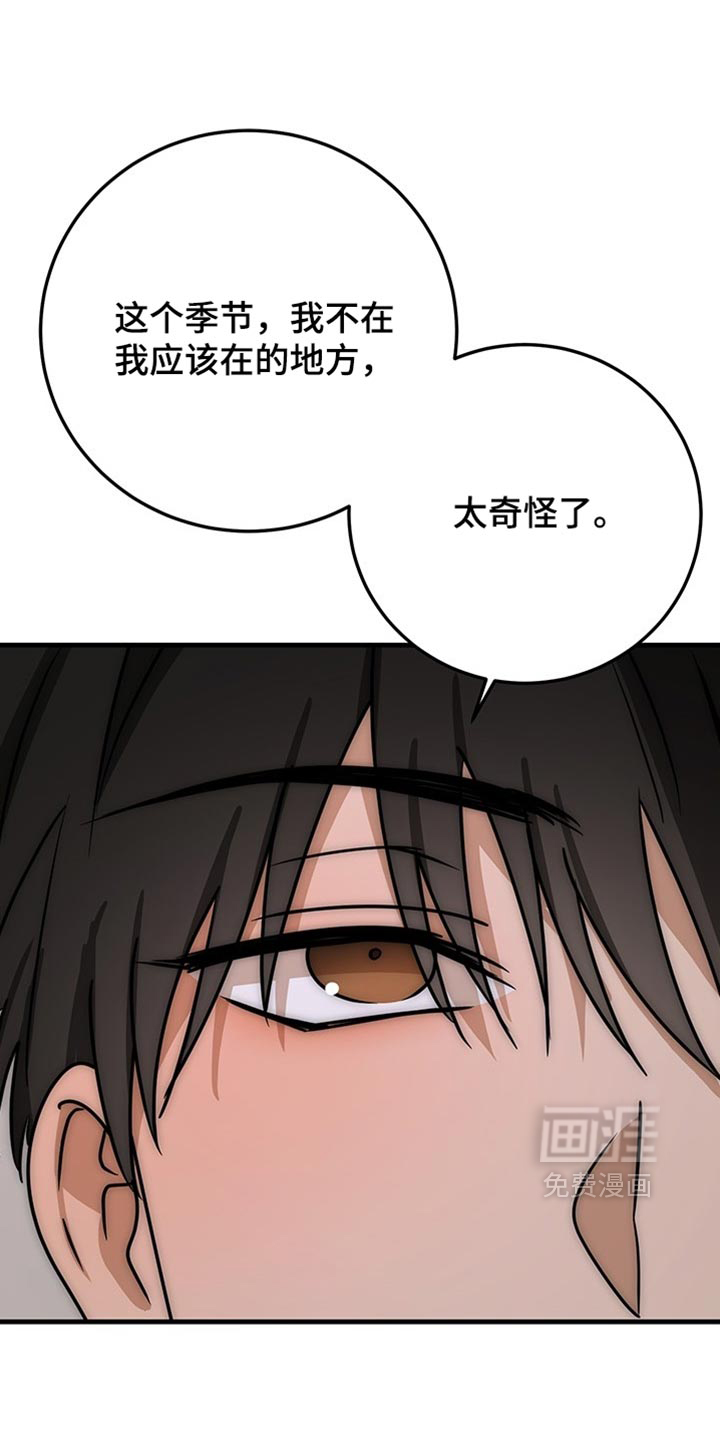 第22话10