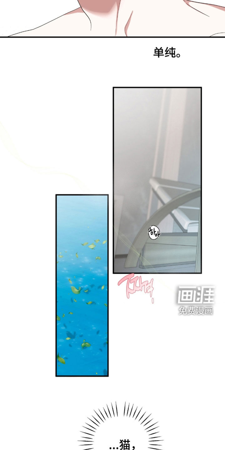 第51话15