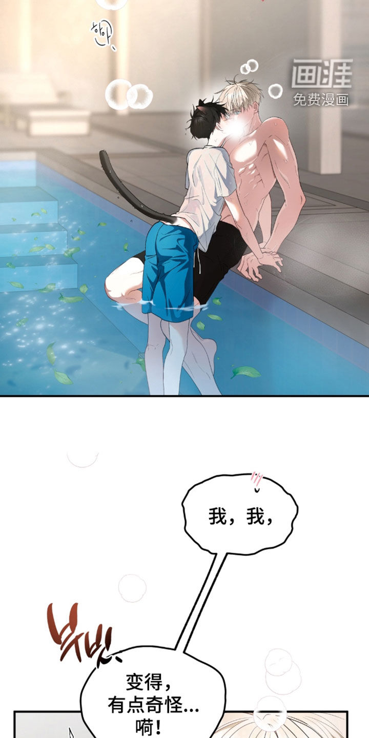 第51话5