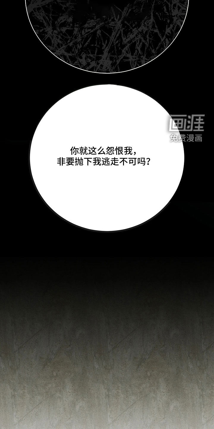 第29话11