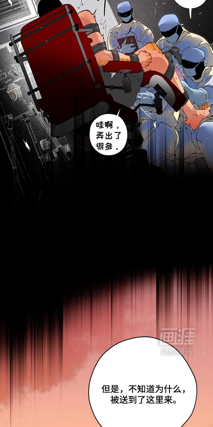 第29话4