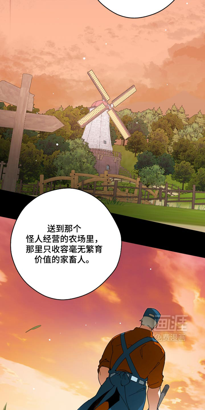 第29话5