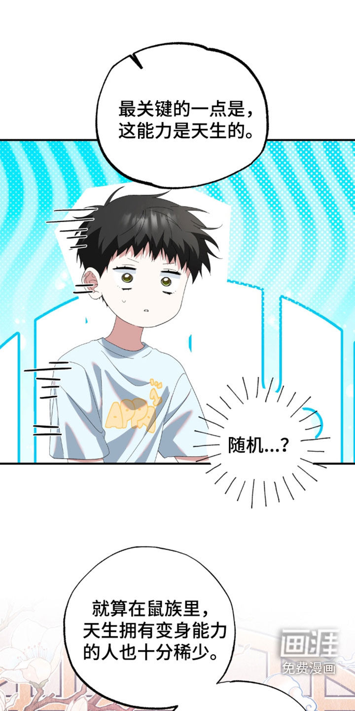 第53话17