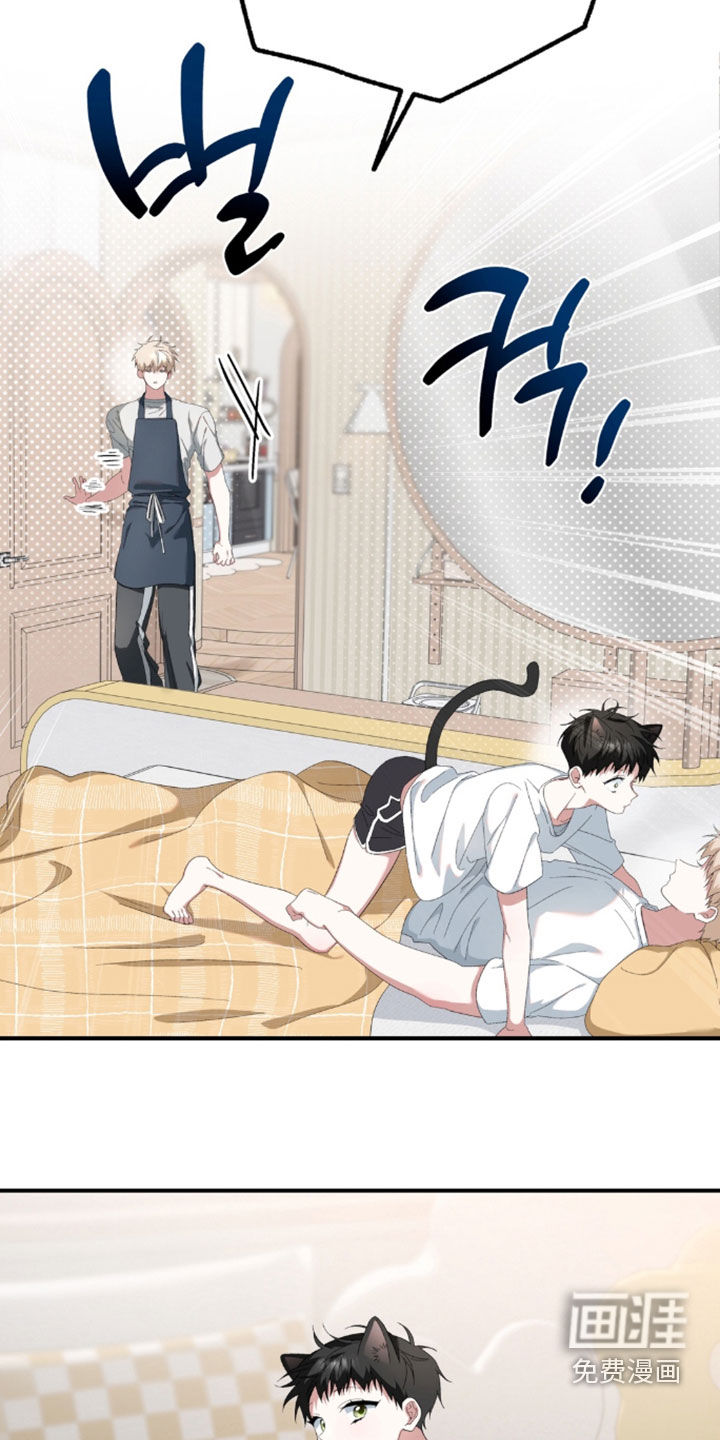 第52话11