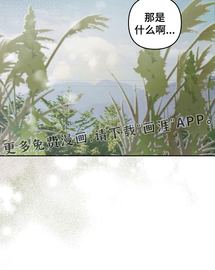第29话26