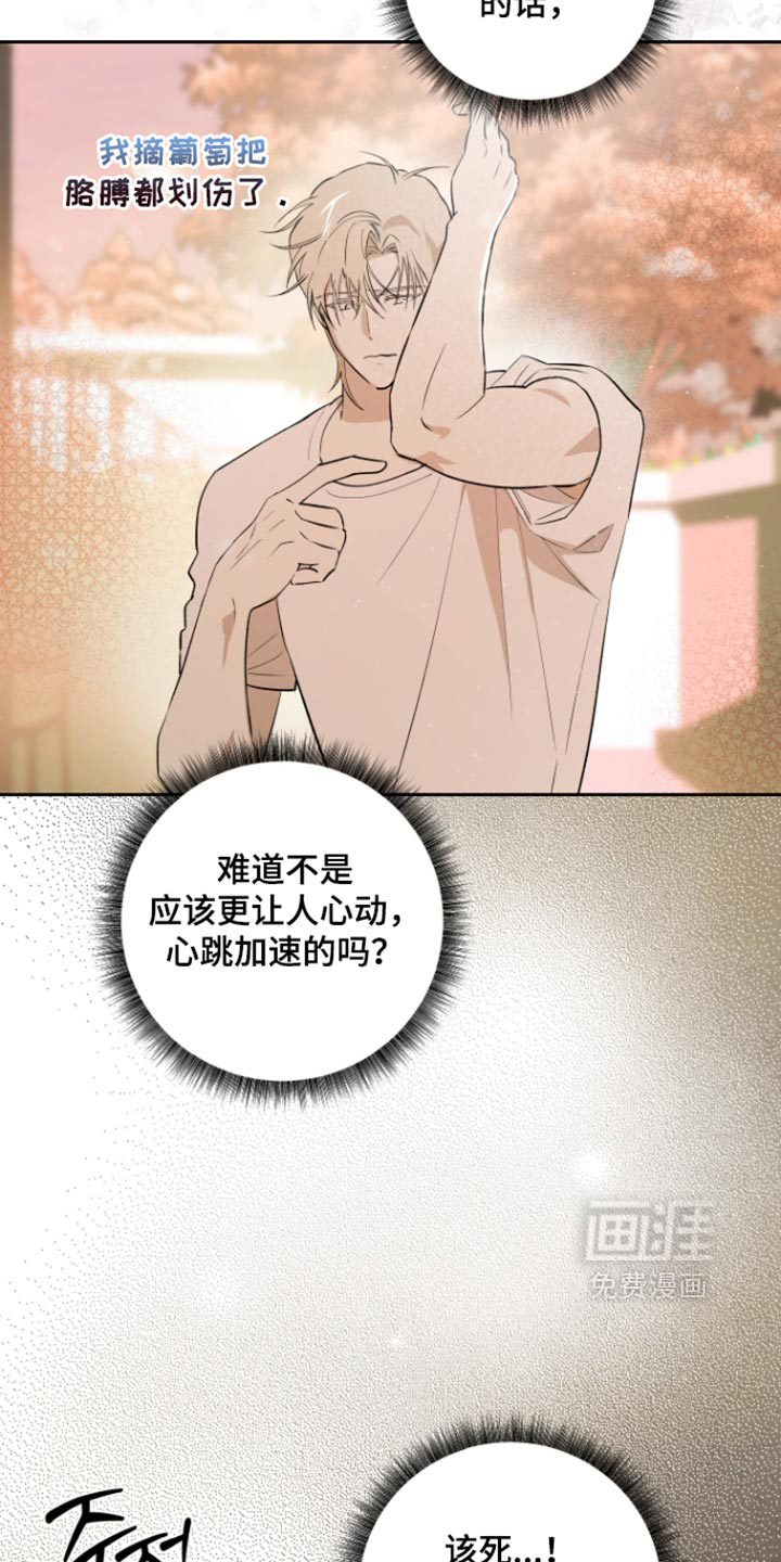 第26话14
