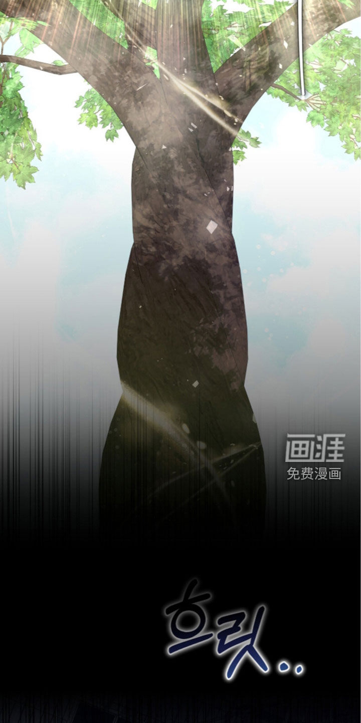 第54话15
