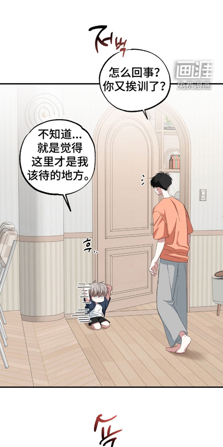 第54话11