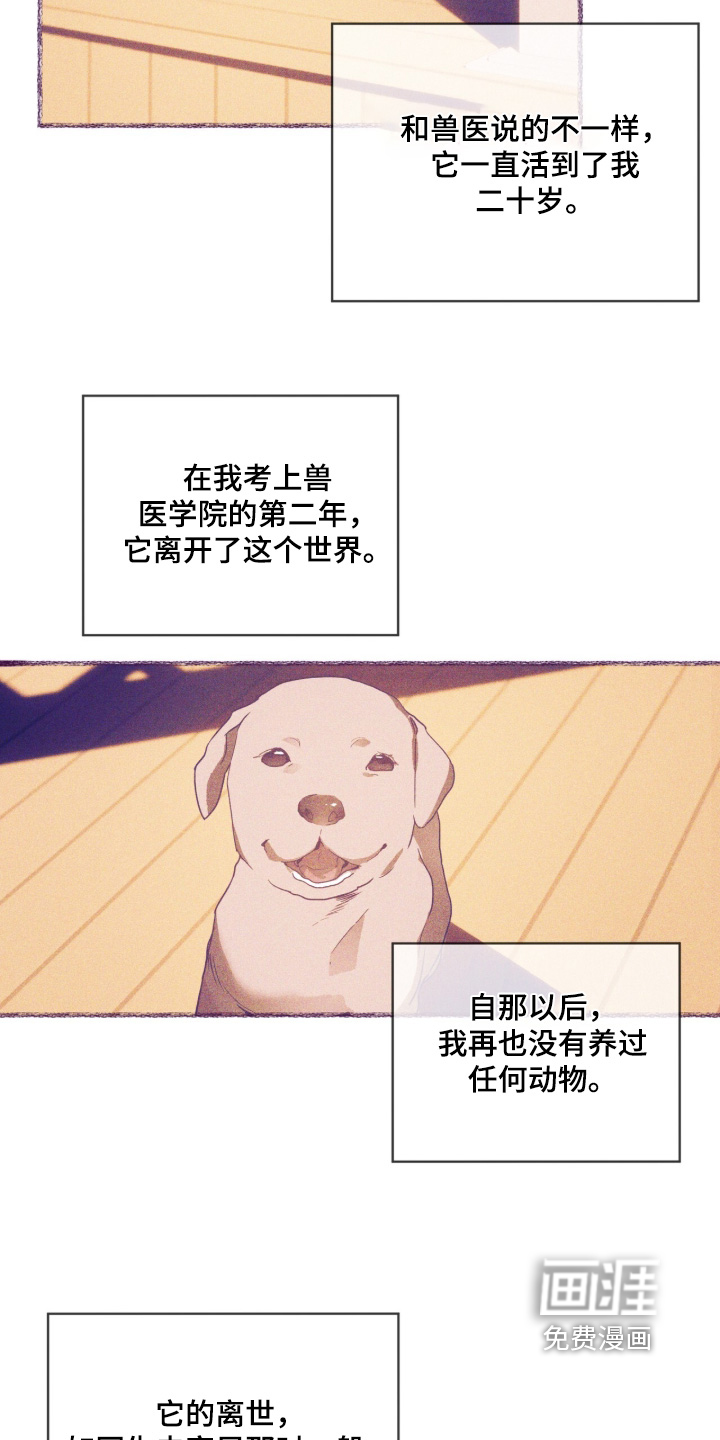 第54话21
