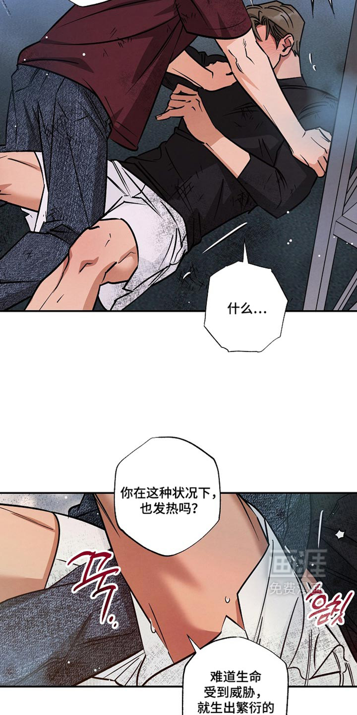 第26话8